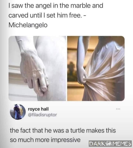 żółw nindża