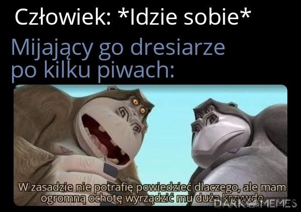 Pobije go