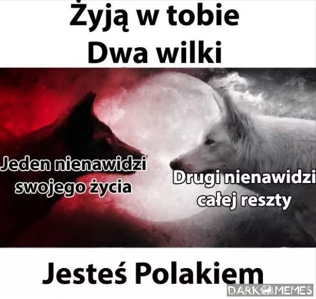Kraj wiecznego gówna