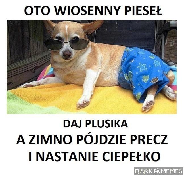 Tylko schudnij