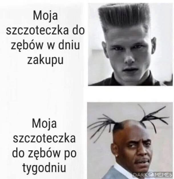 Szczoteczka