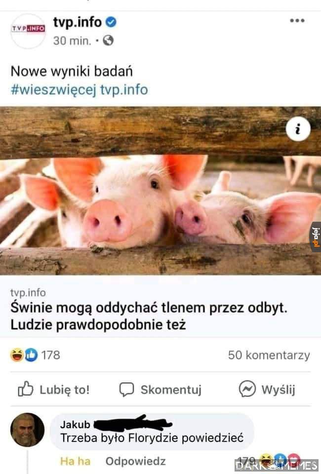 Zapomniał o tym