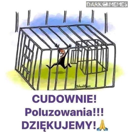 Ja to bym chciała bez klatki 