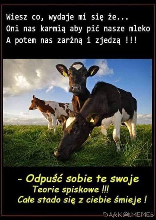 Odpuść 