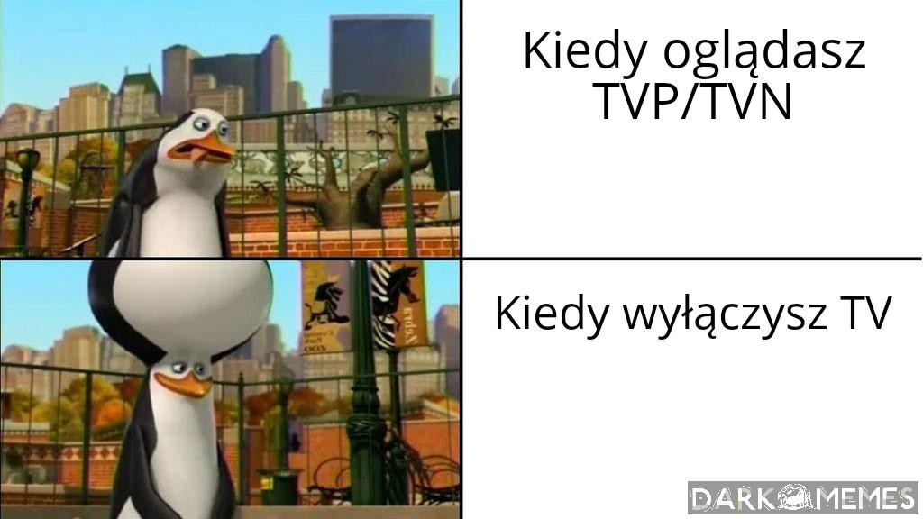Z memów wszystko wiem