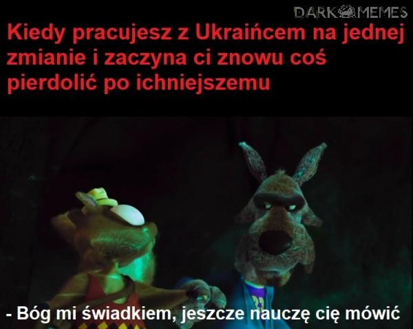 Kolejny stary mem