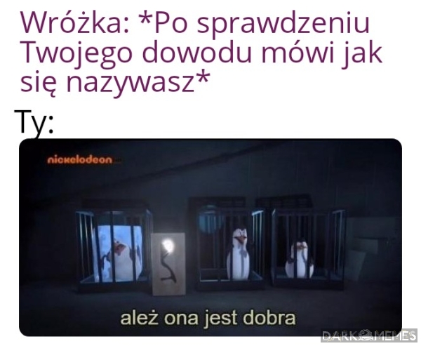 Jasnowidz 
