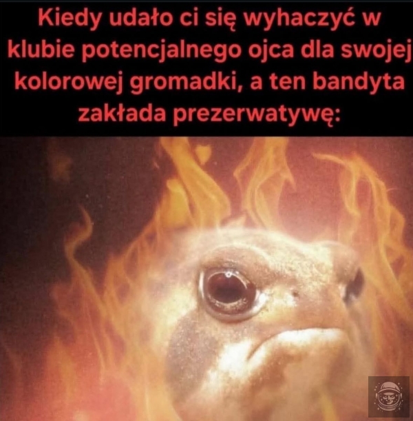 bombelek