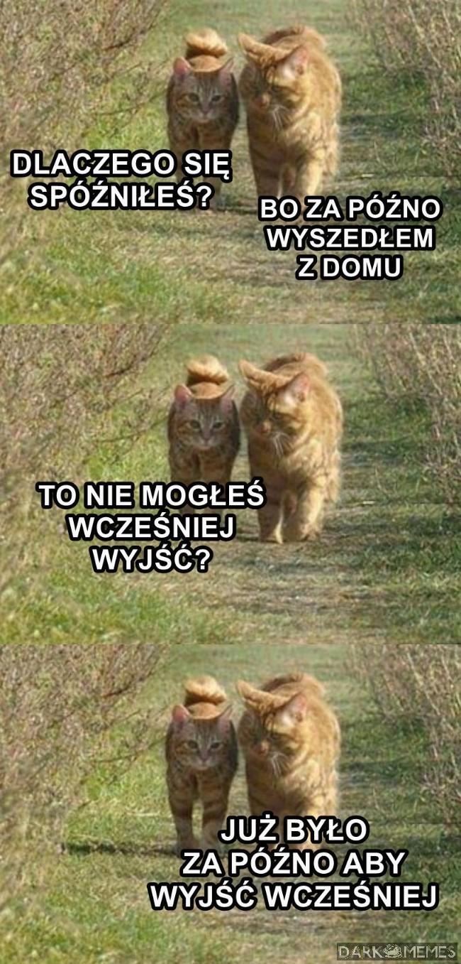 W sumie racja