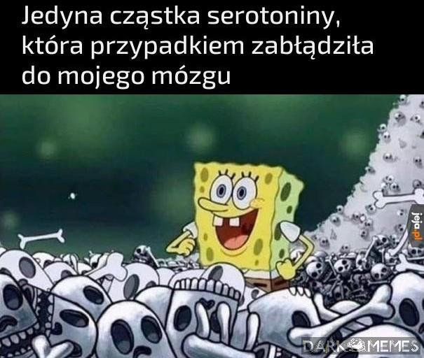 Skąd się wzięłaś?
