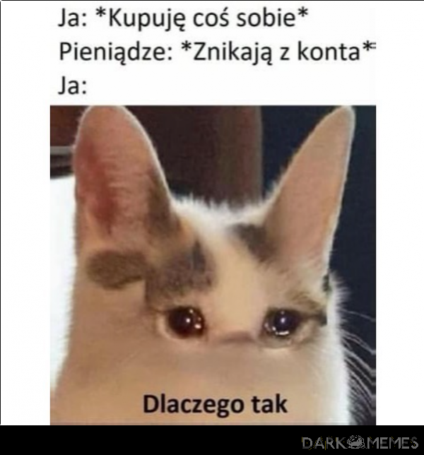 dlaczego