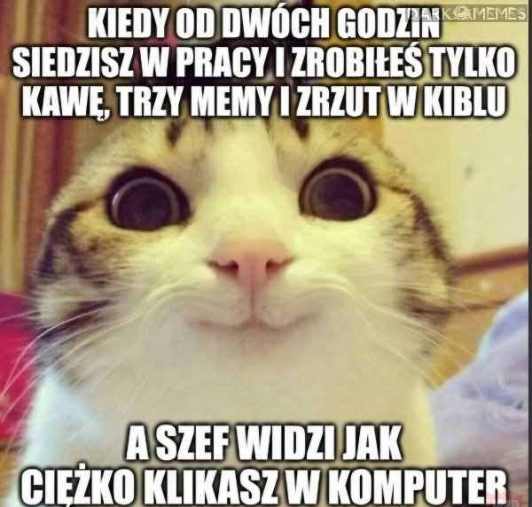 2 godziny