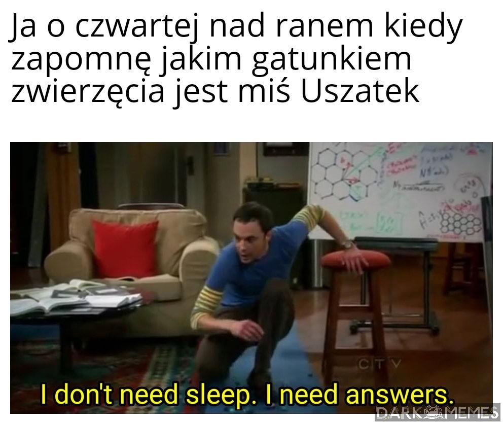 Chyba żaba 