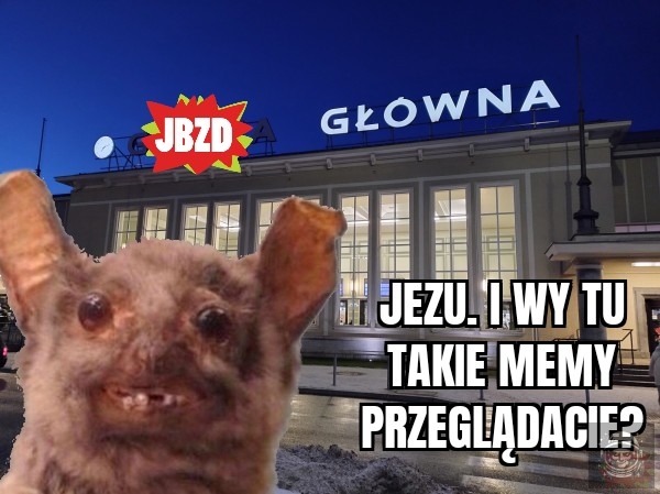 Nigdy się małpy nie nauczą 