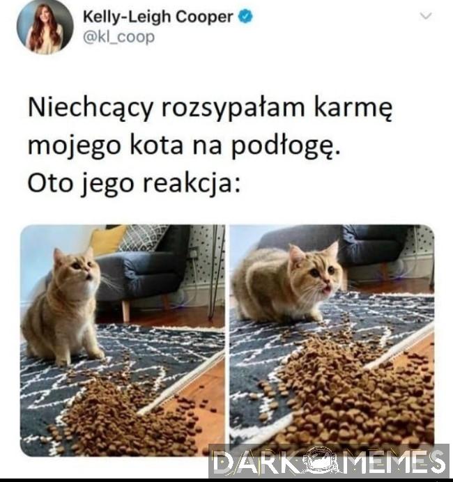Żryj to teraz
