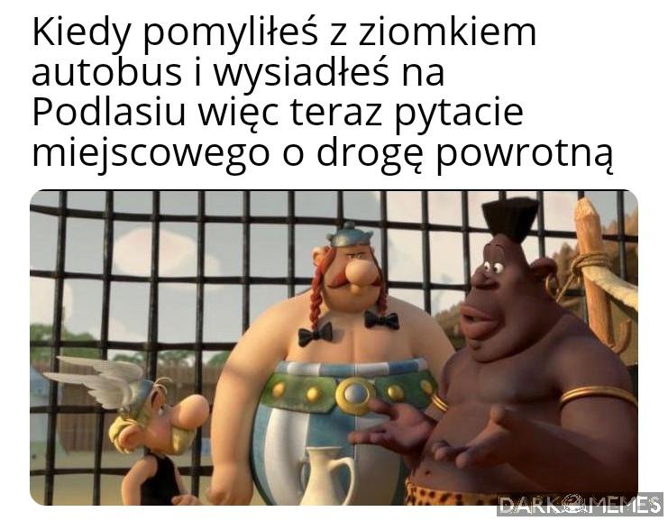 Towarzyszu?