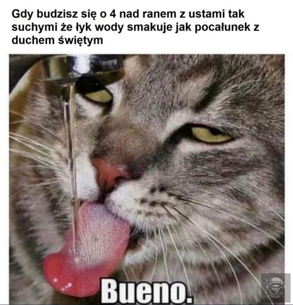 pićku