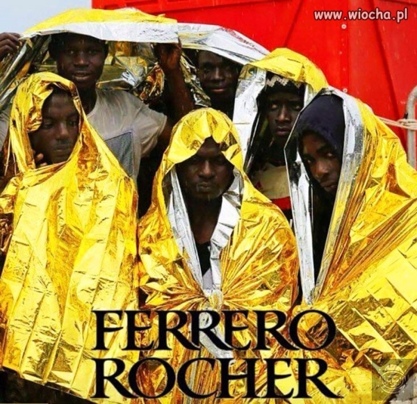 Nigga Rocher