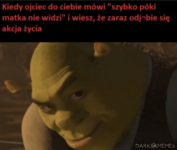 Akcja życia