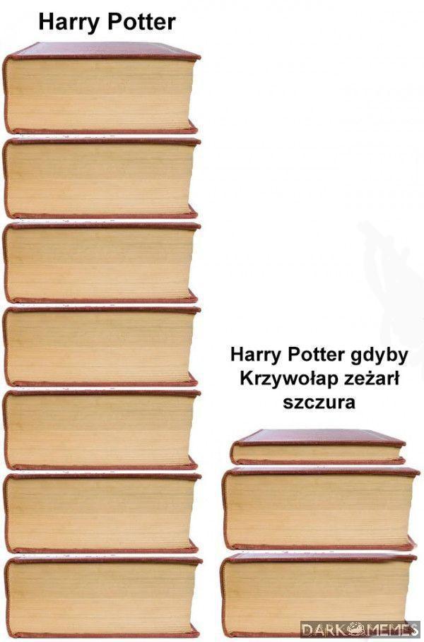 Głupi kot