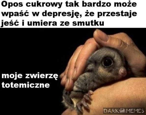 Mały a wygryw