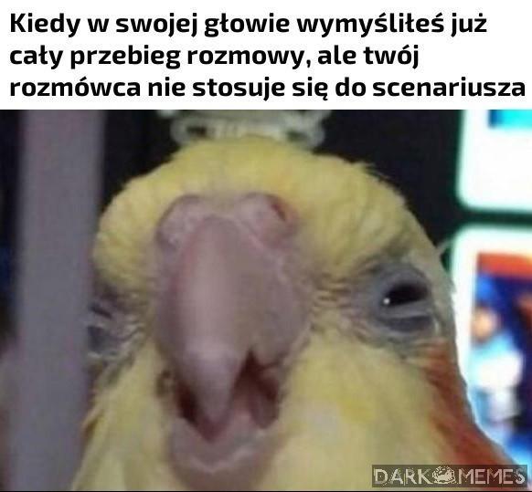 Nie umiesz