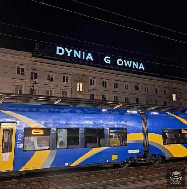 Dynia