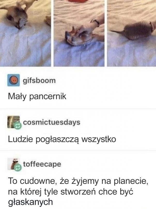 Albo przytulonych