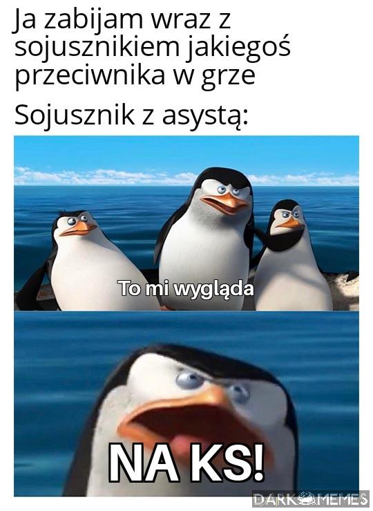 Report