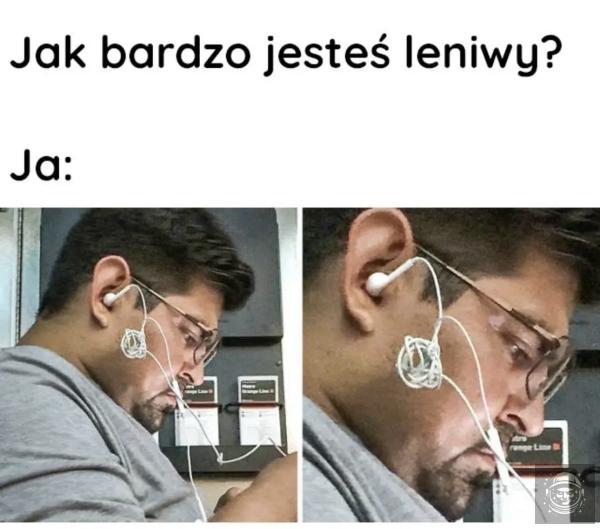 Lenistwo 