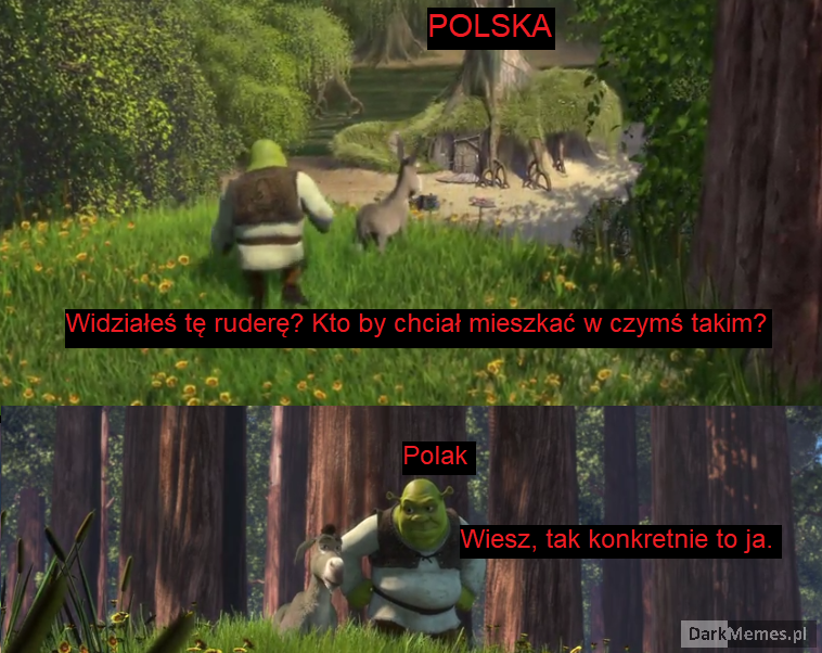 Ale tu jest pięknie 
