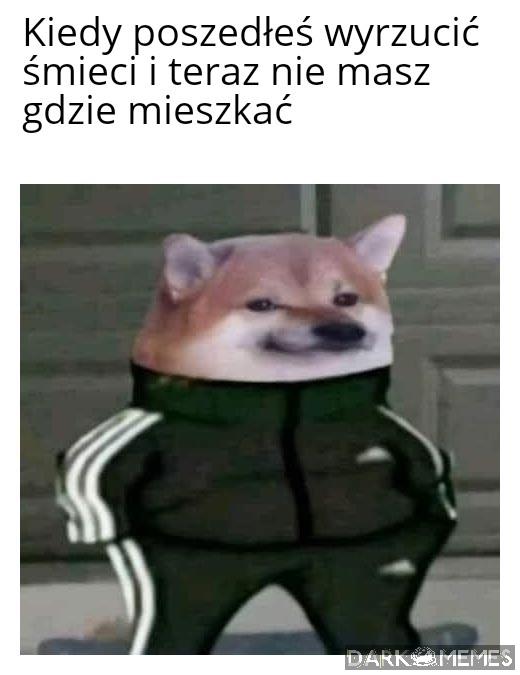 Masz jakieś mieszkanie kurwa ten?