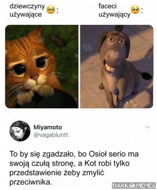Wszystko pasuje