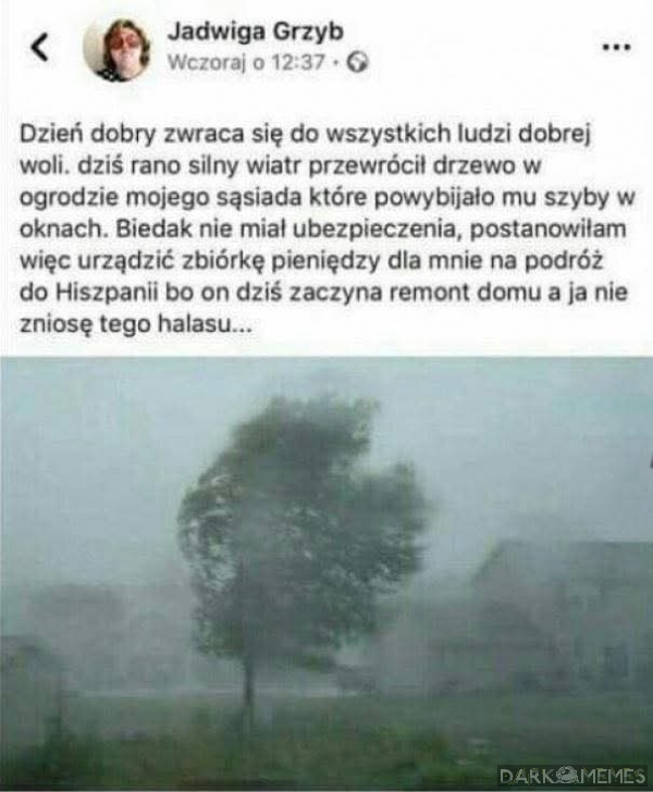 Sąsiedzi