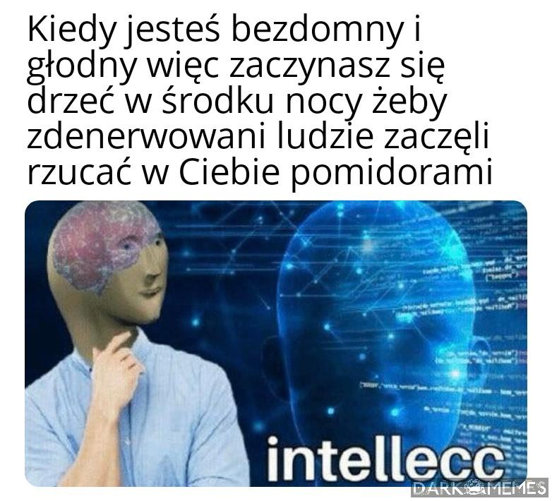 Inteligencja