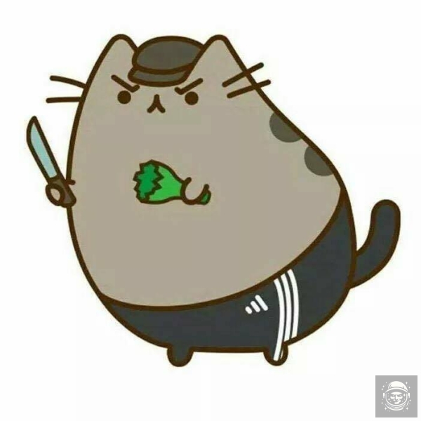 Pusheen dorabia