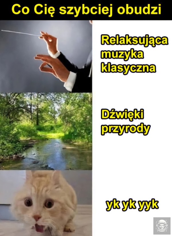 Yk