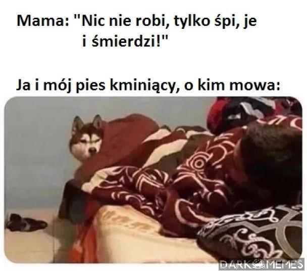 To nie ja