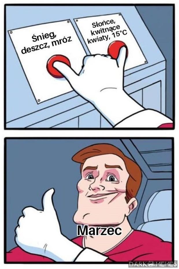 Pogoda