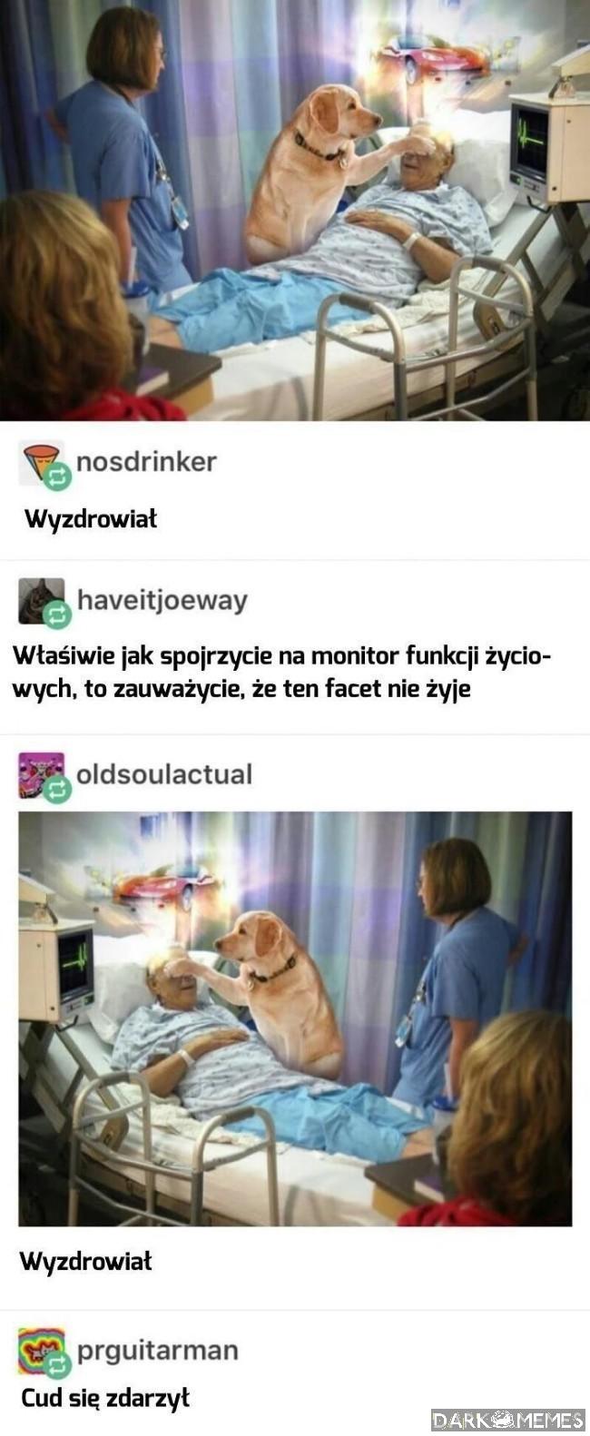Cud