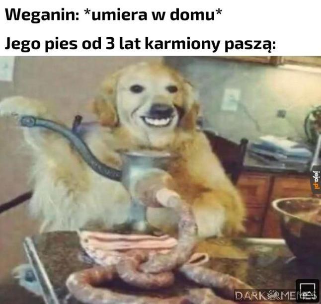 Pieseł