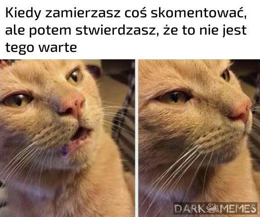 Szkoła strzępić ryja