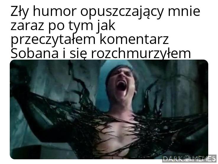 Trochę lekarz