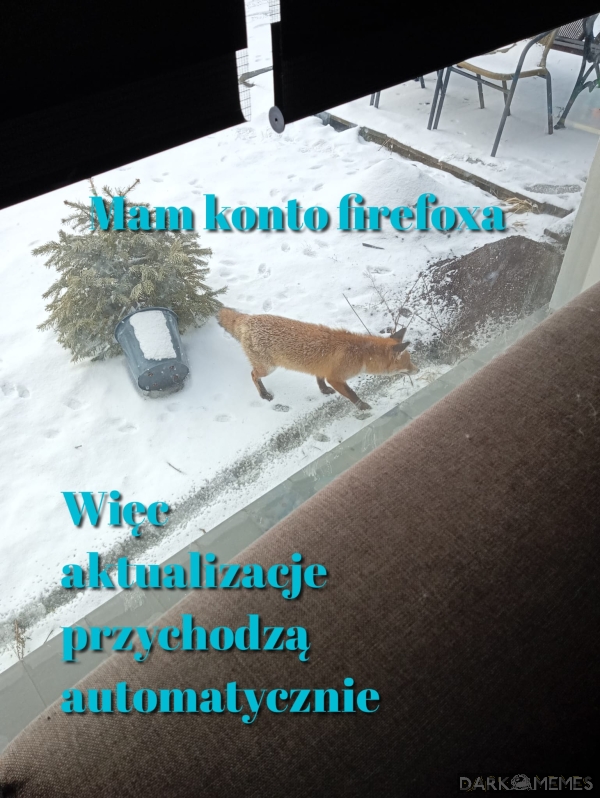 Panny koks frajerfoks xD