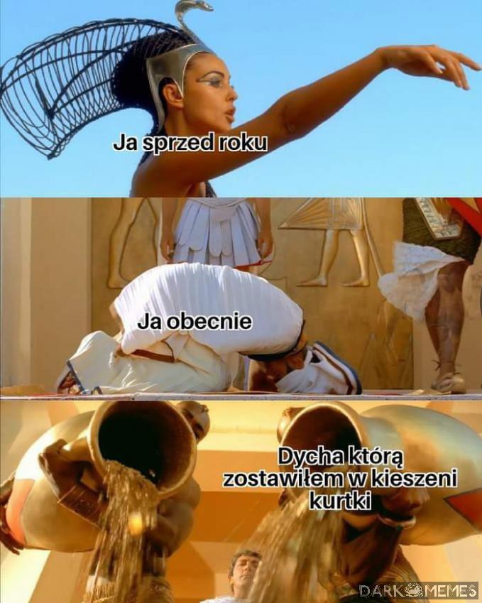 Dziękuje