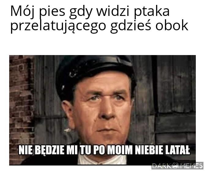 Wypad mi stąd