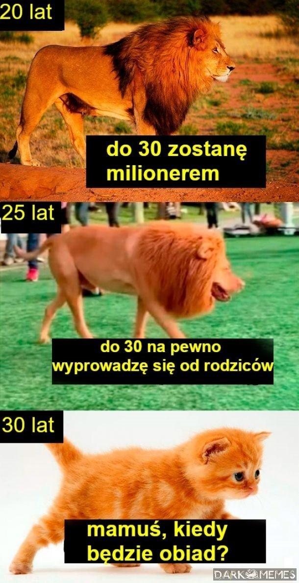 Nie ma się co śpieszyć