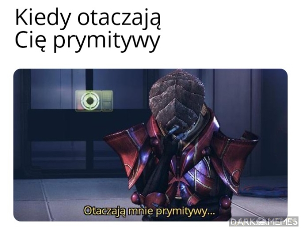 Życie jest nowelą 