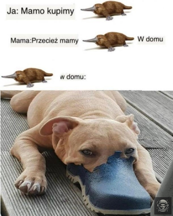 Dziobakeł