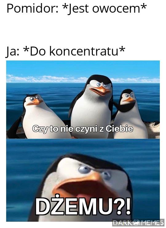 No tak na logikę